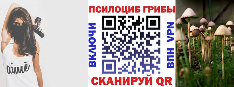 Псилоцибиновые грибы прущие грибы  дарк нет клад  Дорогобуж 