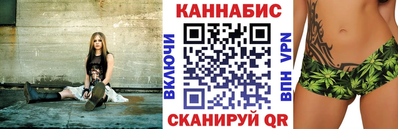 как найти закладки  Дорогобуж  Каннабис сатива 